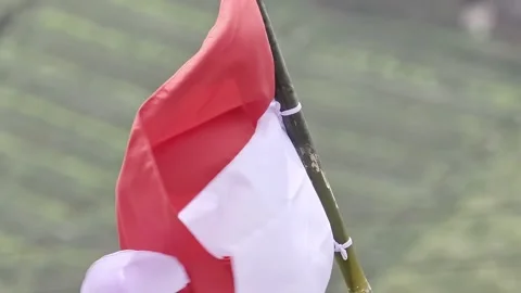 Indonesian flag waving in the wind attached to a bamboo pole 動画素材 341743991