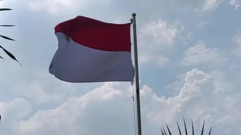Indonesian Flag Waving in the Wind Stock Footage 313724772