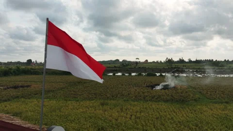 Indonesian Flag Waving in the Wind Over Rural Rice Field and Agrecultural Fire 動画素材 345145488