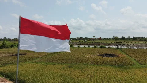 Indonesian Flag Waving in the Wind Over Rural Rice Field Landscape 動画素材 345147521