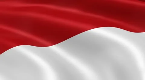 Indonesian flag in the wind Stock Footage
