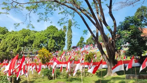 Indonesian Flags Displayed Among Trees in a Green Park Setting Video stock 311135269