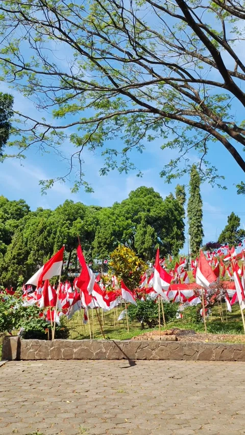 Indonesian Flags Displayed Among Trees in a Green Park Setting Video stock 311135274