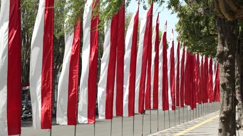 Indonesian Flags Fluttering in the Wind on a Bright Day Symbolizing Unity Stock Footage 334001592