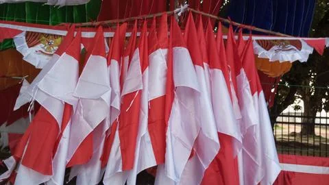 Indonesian flags,red and white flags 스톡 사진