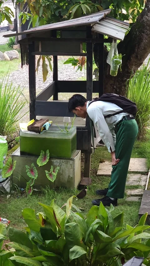 Indonesian High School Student Observing Animals In Backyard Garden Stock Footage 340261321