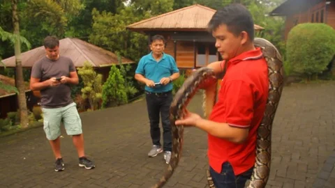 Indonesian Man Handles a Giant Python as People Look On Stock Footage 79852651