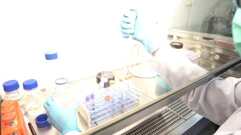 Indonesian Microbiologist 12 Vídeos de archivo 128696229