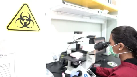 Indonesian Microbiologist 24 Vídeos de archivo 128697686
