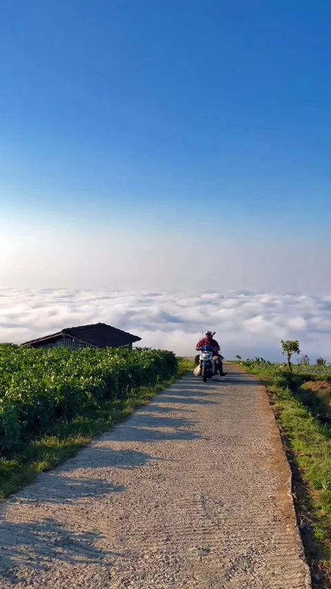 Indonesian mountains Video stock 254376916