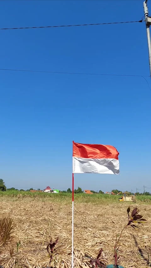 Indonesian national flag Stock Footage 287499458