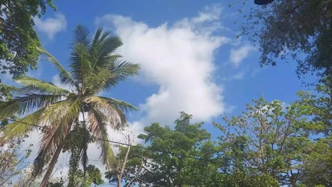 Indonesian nature (4) edit Stock-Footage 284843154