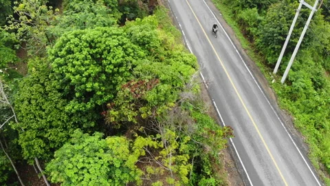 Indonesian nature documentaries Stock Footage 221468874