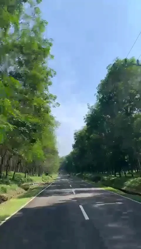 Indonesian Nature Video stock 221422539