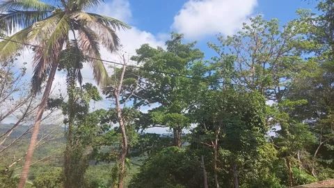 Indonesian nature(5) Stock-Footage 284843415