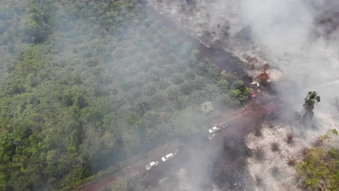 INDONESIAN  PLANTATION FIRE Stock Footage 203929652