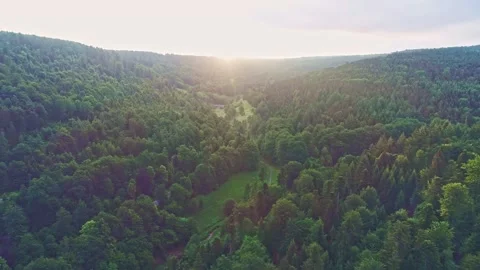 Indonesian protected forest Video stock 201939929