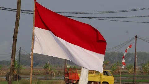 Indonesian red and white flags fluttering, celebrating Independence Day. Stock Footage 341786812