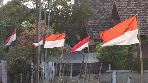 Indonesian red and white flags fluttering, celebrating Independence Day. Stock Footage 341786866