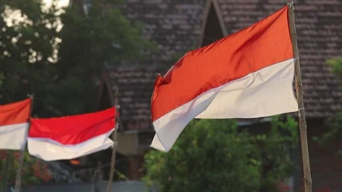 Indonesian red and white flags fluttering, celebrating Independence Day. Stock Footage 341786887