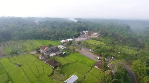 Indonesian rice fields and villages Stock Footage