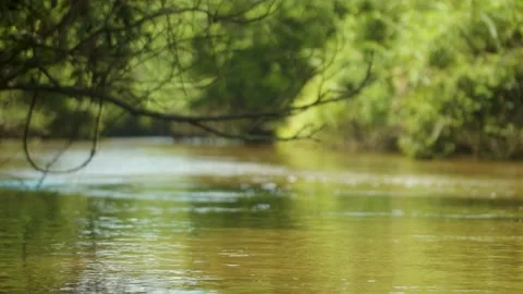 Indonesian river Stock Footage 209857792