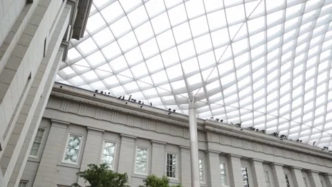 Indoor Atrium Video stock 79662681