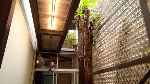 Indoor Courtyard with Tree, Glass Block Wall, and Modern Architectural Interior Stock Footage 345101366