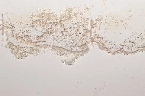 Indoor efflorescence on building wall Photos