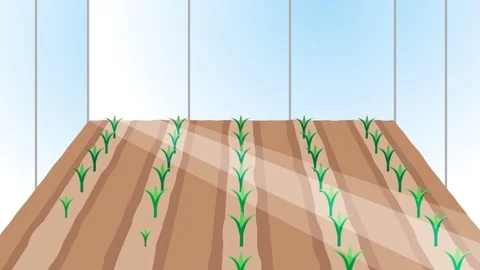 Indoor farming Stock Footage 113208601