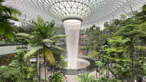 Indoor forest and waterfall at Jewel Changi Airport Stock Footage
