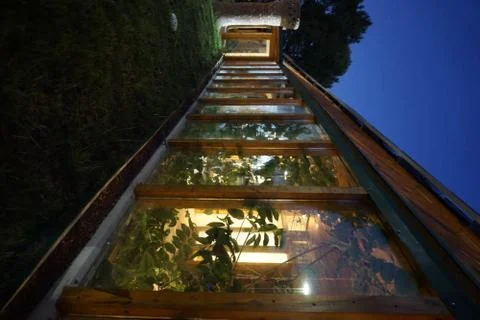 Indoor garden Stock Photos