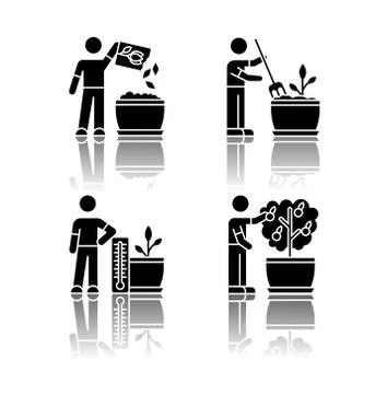 Indoor gardening process drop shadow black glyph icons set. Planting seed Illustrazione stock