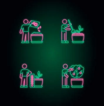 Indoor gardening process neon light icons set. Planting, propagating. Fluffing Stock Illustration