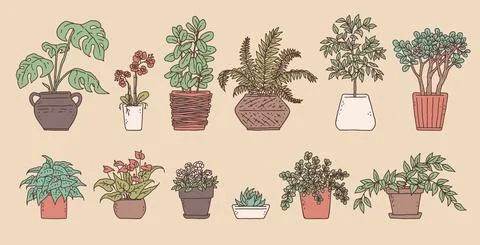 Indoor green plants. Vector set houseplant in flower pot outline doodle isolated Stock Illustration