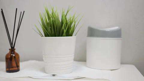 Indoor Plant With Diffuser and White Container on Tabletop Stock Footage 310278912