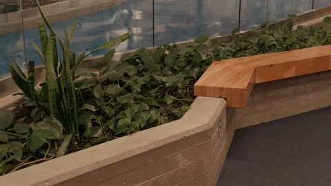 Indoor Planter Bench and Greenery in Modern Public Interior Glide Shot Stock Footage 337646149