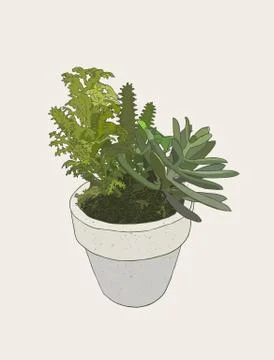 Indoor plants in pots Stock Illustration