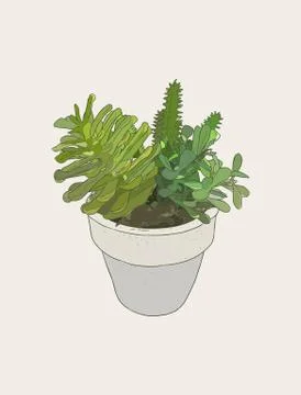 Indoor plants in pots Stock Illustration