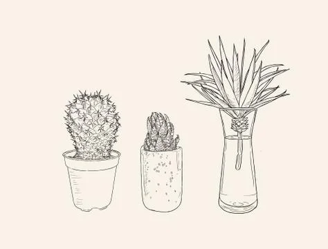 Indoor plants in pots sketch vector. Stock Illustration