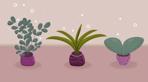 Indoor plants in pots, vector illustration. Stock Illustration