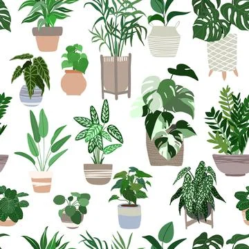 Indoor plants seamless pattern, hand drawn flat 스톡 일러스트