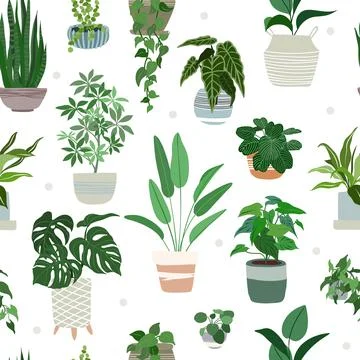 Indoor plants seamless pattern, hand drawn flat 스톡 일러스트