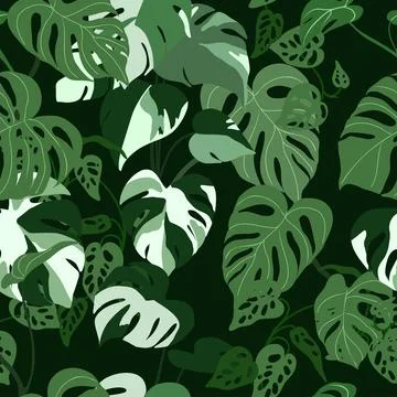 Indoor plants seamless pattern, hand drawn flat Stock Illustration