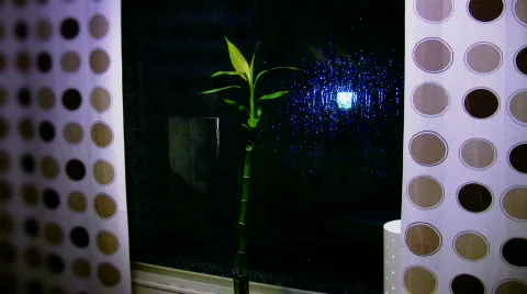 Indoor  Raining Scene 1 Stock Footage 355065