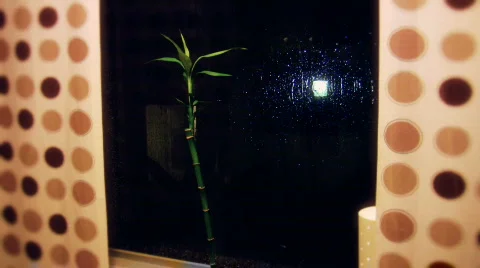 Indoor  Raining Scene 2 Video stock 355077