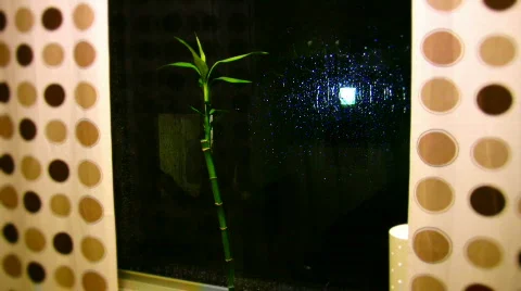 Indoor  Raining Scene 2 (soft focus) Stock Footage 355070