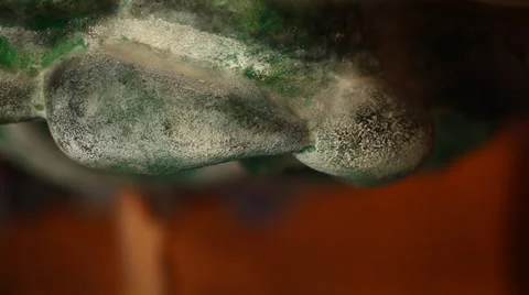 Indoor rock-climbing macro closeup of fingers and foot put on the hold Stock Footage 32177807