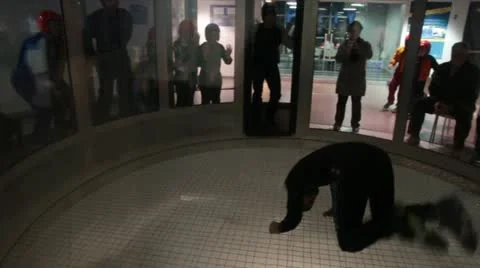 Indoor sky diving instructor stunts Stock Footage 21935152