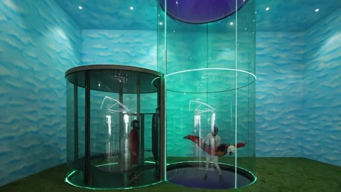 Indoor Skydiving. Instructor with Student. India Vidéo 171467410